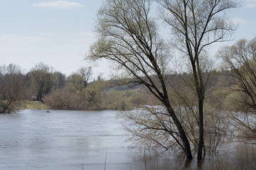 flooded river bank