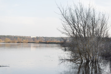 flooded river bank