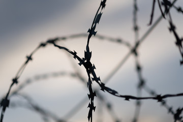 Barbed wire fence and Light of Hope