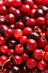 Ripe and fresh cherries background, close up