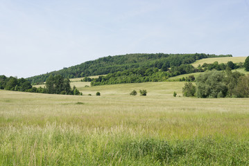Fototapeta na wymiar Grassland green spring landscape meadow with hill and forest