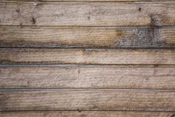 Wood texture