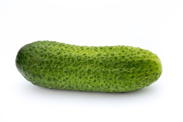 The first spring ecologically cucumbers.