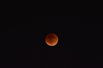 bloody moon