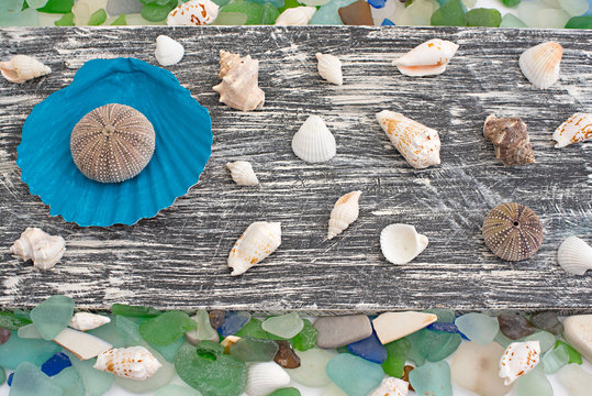 Set of sea shells on old wooden background