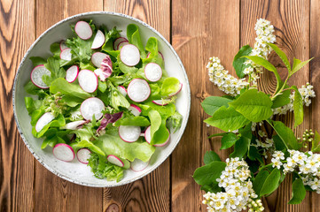 Rustic food photo. Spring ripe radish salad with lettuce mix, rucola and olive oil on wooden background. Cherry flowers decoration. 
