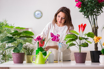 Young woman looking after plants at home