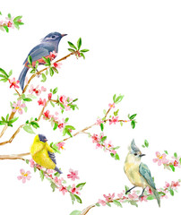 Naklejki  zaproszenie z uroczymi ptakami na kwitnące gałązki. Malarstwo akwarelowe