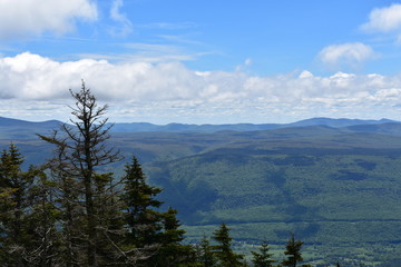 Vermont VIew