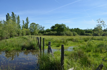 Marais de Morlin a Taluyers (69)