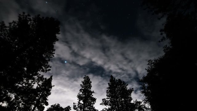 Stars in Alpine Forest 05 Time Lapse Clouds