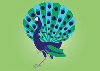 proud peacock