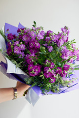 A bouquet of purple Mattioli, packaged in purple paper. On a white background.Floral