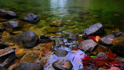 natural clean water in stream. waterfall.