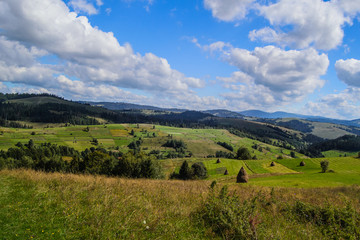 Obraz premium Meadow in the Carpathian