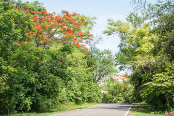 Natural forests and beautiful mountains in countryside Ratchaburi Thailand