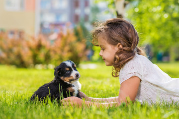 Little girl with a berner sennenhund puppy, outdoor, summer