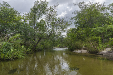 Nature pictures backgrounds and texture concept