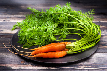 Carrots with leaves