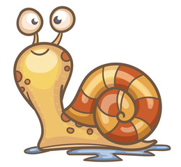 Cartoon Snail