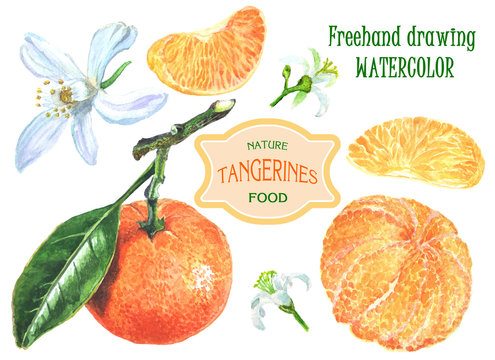 nature tangerines food