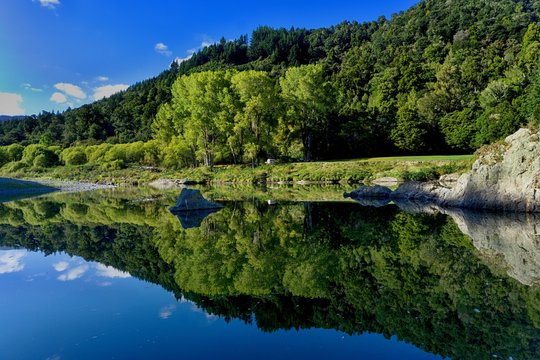 Pelorus 이미지 찾아보기 273 스톡 사진, 벡터 및 비디오 Adobe Stock