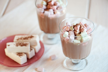 Cup of hot chocolate with marshmallows