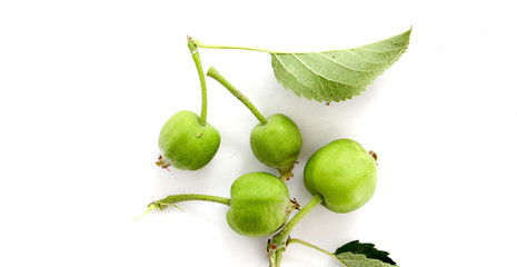 green apple fruits with leaves on the studio