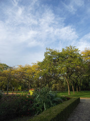 Obraz premium Autumn, Variety Colors of Leaves on trees in Toronto Island Natural Park, Ontario, Canada