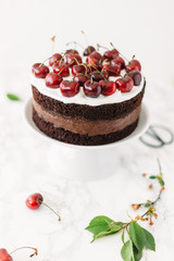 Chocolate cake with cherries on white marble background. Sugar free, lactose free concept