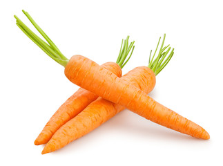 carrot