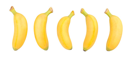 baby banana © bergamont