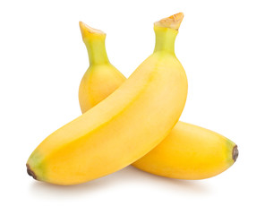baby banana © bergamont