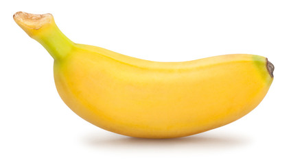 baby banana © bergamont