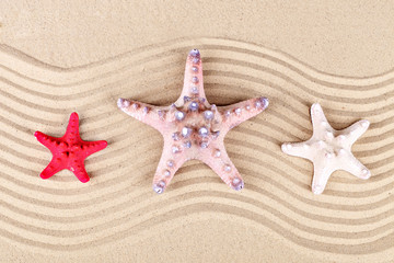 Fototapeta na wymiar Three sea stars lie on the sand to the sea.