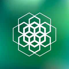 Abstract geometric flower logo design template on green blurred background