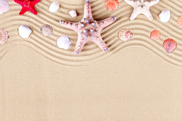 Fototapeta na wymiar Starfish and shells on the beach. Summer vacation.