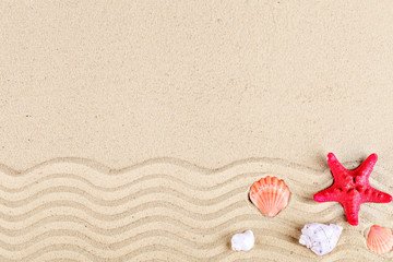 Starfish and shells on the beach.