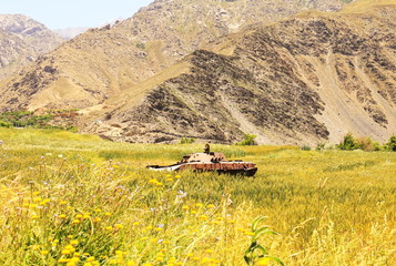 Tank abandoned in a flower field