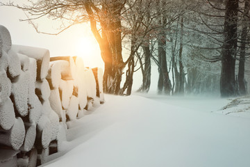 Schneelandschaft im Schwarzwald © Nordreisender