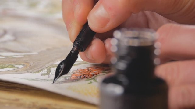 closeup shots of a female artist working on a picture of lynx, whole series from process available,