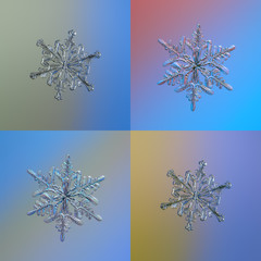 Set with four snowflakes on bright gradient background, arranged as square grid. This is macro...