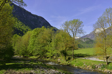 Ruisseau de Vicdessos et montagnes dans les Pyrénées ariégeoises à Vicdessos (09220) Val-de-Sos, département de l'Ariège en région Occitanie, France
