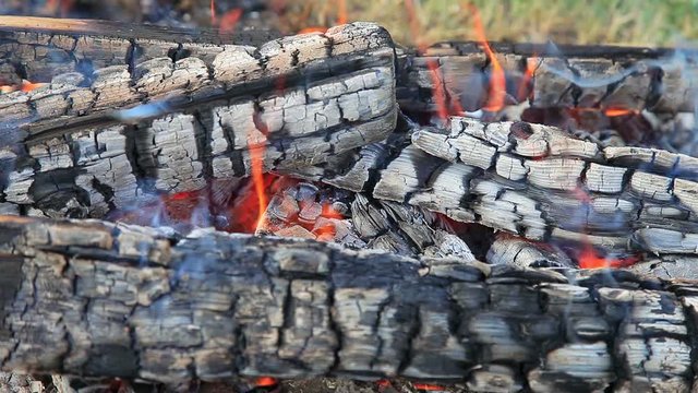 HD close-up background of burning fire wood