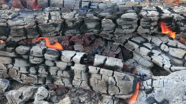 HD close-up background of burning fire wood