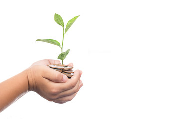 Baby Hand Holds Money Investing to green business,World Environment Day
