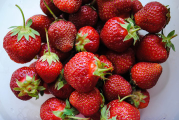 Ripe red strawberries