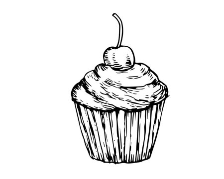 Isolated Detail Vintage Hand Drawn Food Sketch Illustration - Cupcake