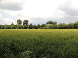 Fototapeta premium Niederrheinisches Auenland