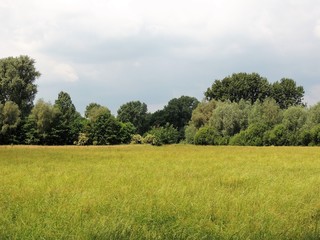 Fototapeta premium Niederrheinisches Auenland